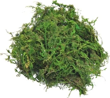 Artificial Moss Green for Crafts Centerpieces Fake