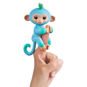blue fingerling monkey