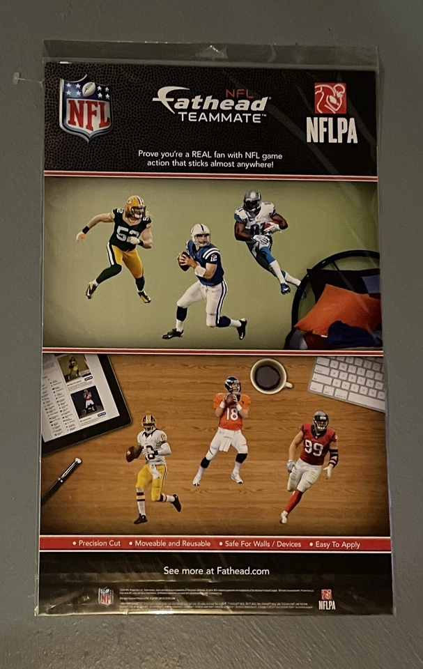 Patriots FATHEAD Super Bowl Champions XLIX Set TOM BRADY - ROB GRONKOWSKI + más Foto 2 de 2