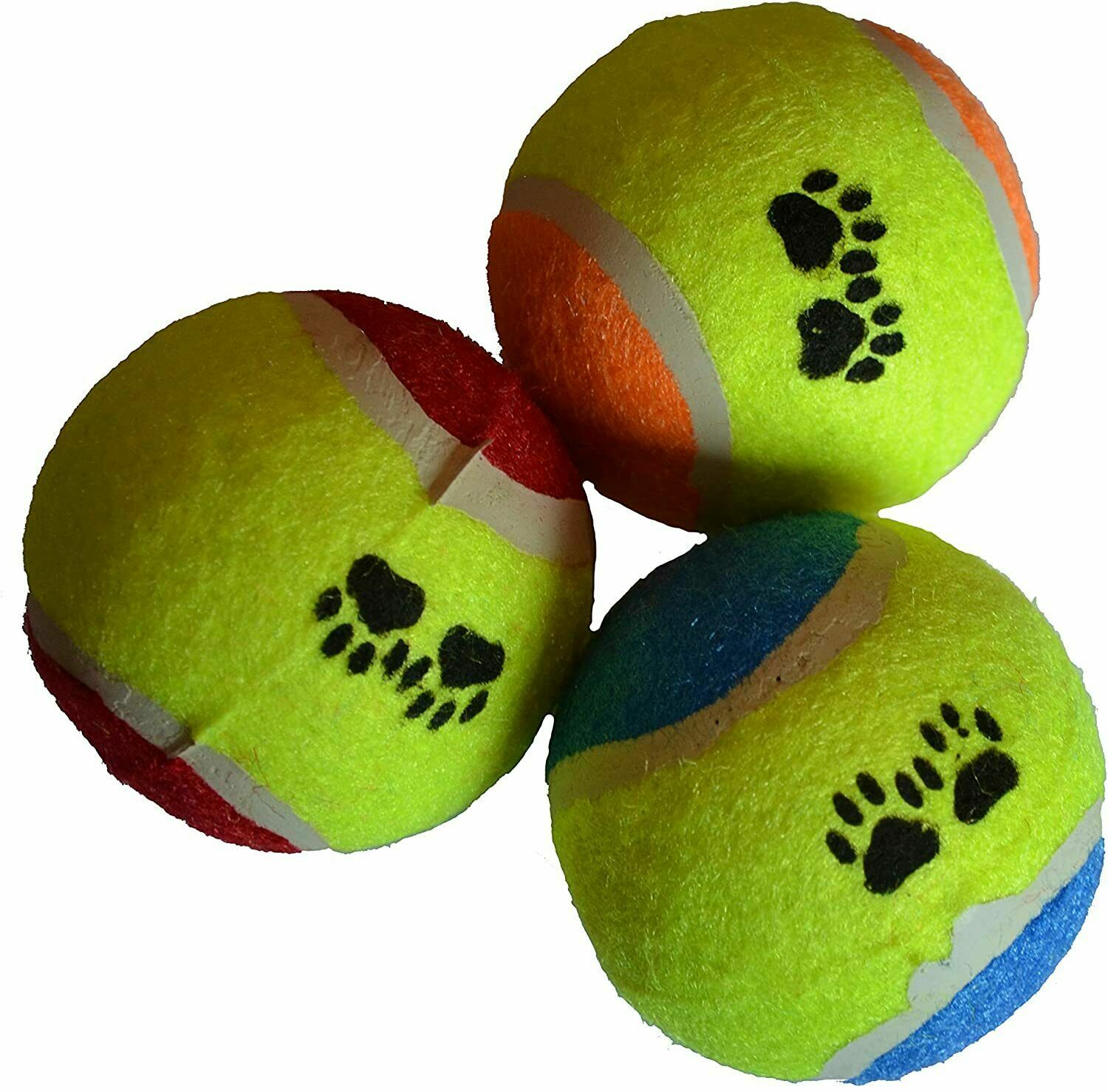 Can Puppies Play With Tennis Balls