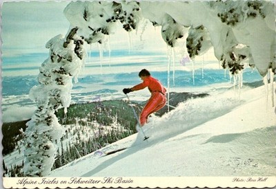 Sandpoint Idaho Alpine Icicles at Schweitzer Ski Basin Continental Postcard B393