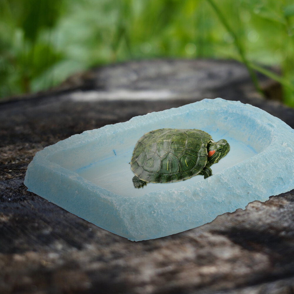 Reptile Dish Food Reptiles Terrarium Water Bowl Snake Feeding Lizard