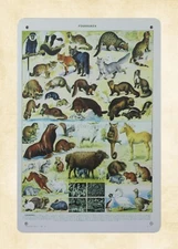  vintage reproduction animal print metal tin sign wall cottage farm