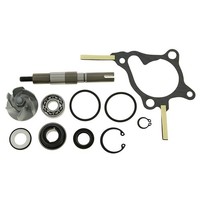 Vicma Reparaturkit Wasserpumpe FüR Honda FES 250 Foresight Nss Jazz