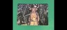 Magic The Gathering Fleshtaker 61/81 Innistrad: Midnight Hunt Art Series NM