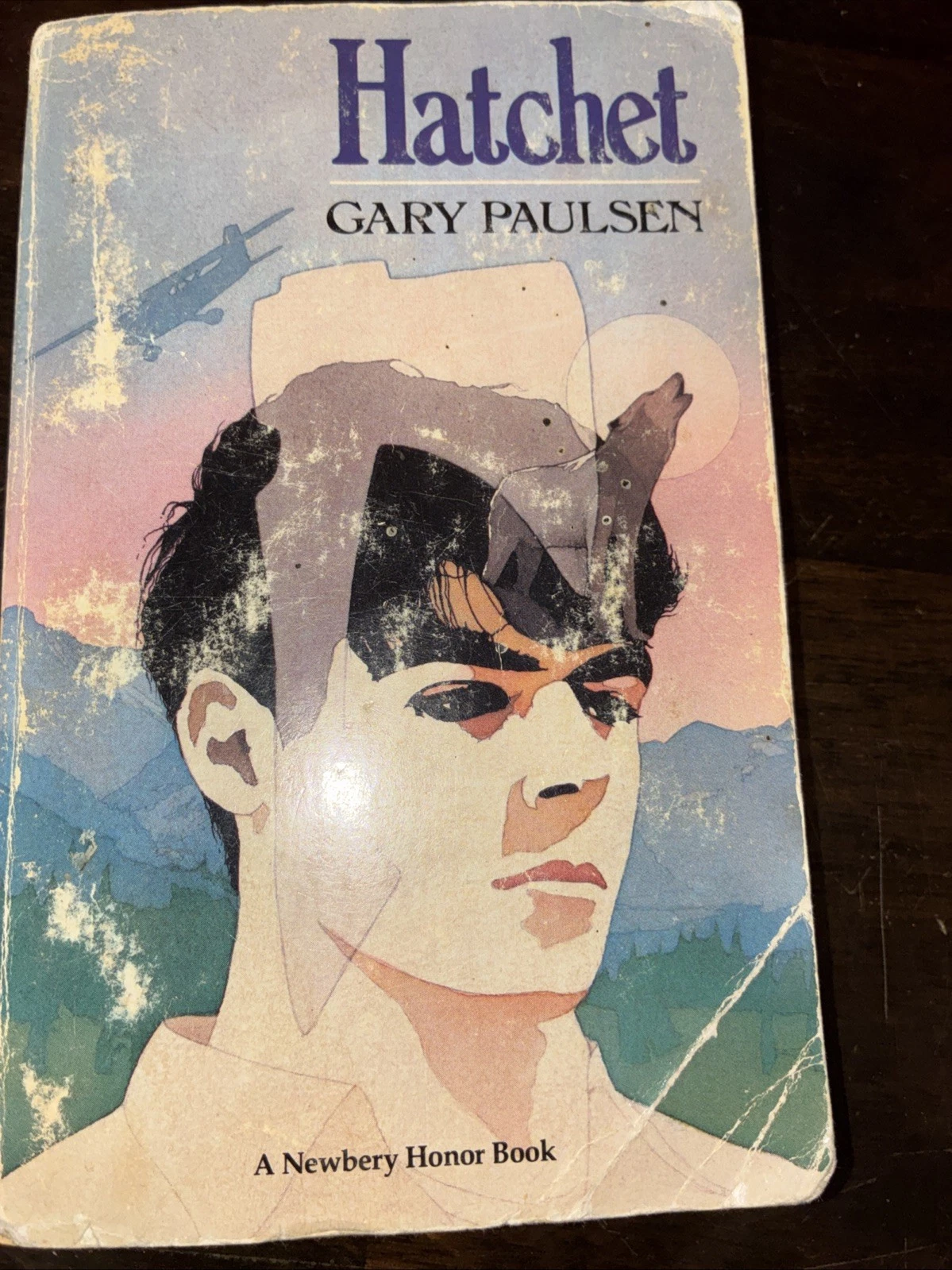 Hatchet Gary Paulsen Newbery Honor Young Adult