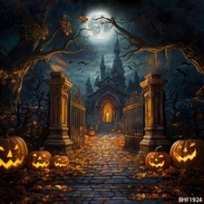 10'x10' Horror Night Castle Scene Microfiber Fabric background backdrop BHF1924