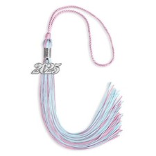 Endea Graduation Pink/Light Blue Mixed Color Tassel With Silver Date Drop