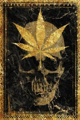Gold Leaf Skull by Daveed Benito Poster - 24.5'' x 36.5'' Laminated