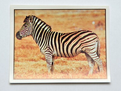 Panini Animals of the World 1992 Sticker Nr. 065