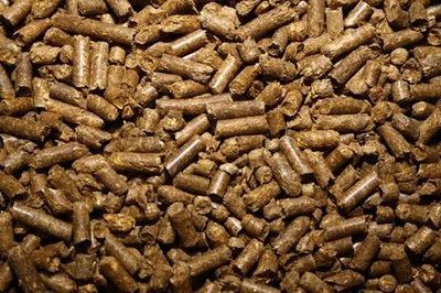 WUNDAPETS HERBIFLOOR TORTOISE PREMIUM GRASS PELLET SUBSTRATE BIO DEGRADABLE BEDDING 20 KG