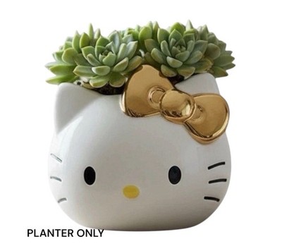 Hello Kitty Ceramic Planter Pot ONLY GOLD Bow Sanrio Cute Home Spring Decor