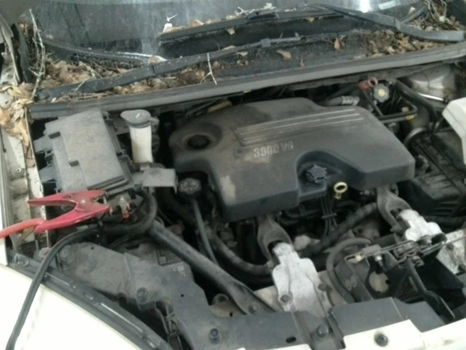 Bote de vapor de combustible UPLANDER 2007 104901492 Foto 4 de 4