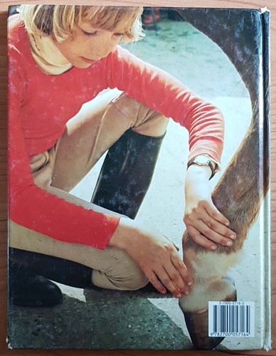 LE CHEVAL sans problème par Michèle LEWIGUE Édition GRUND Éducations,Soins 1982 - Picture 2 of 12