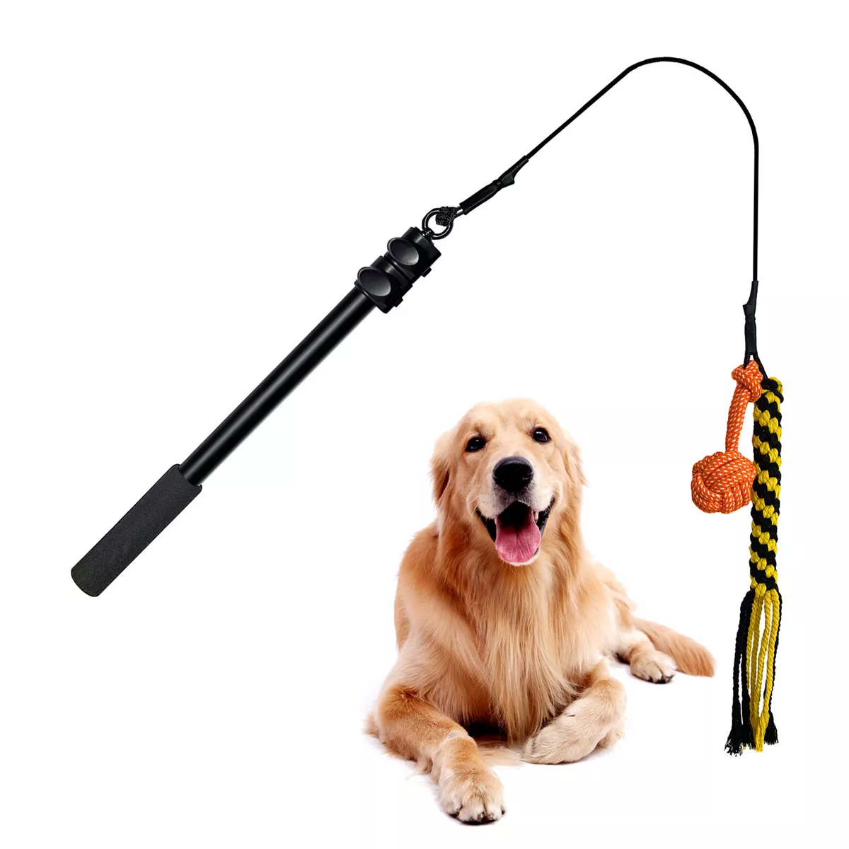 Flirt pole dog clearance training