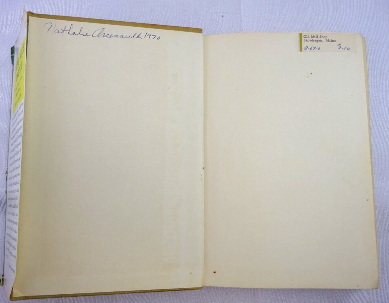 1945 HC BOOK NINE MILE BRIDGE 3 YEARS IN THE MAINE WOODS NOVEL by HELEN