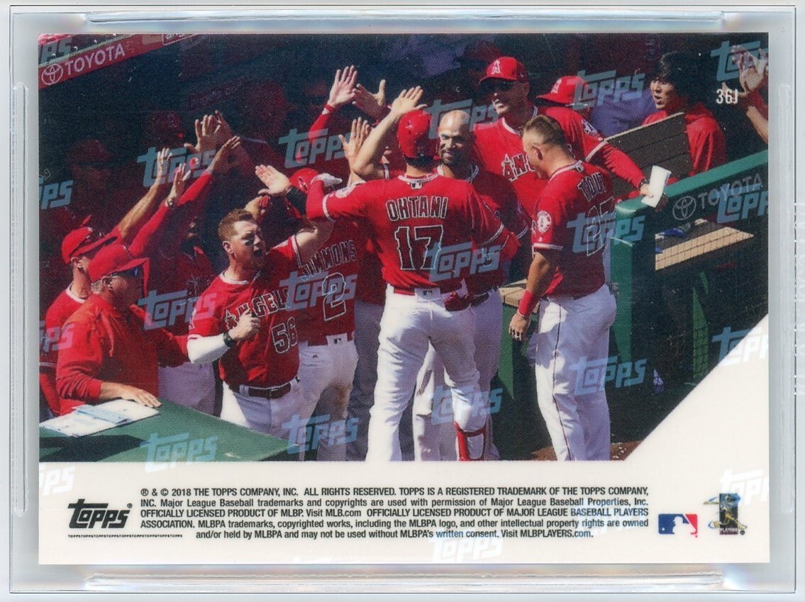 ナンバーMLB2018年 カーボンナンバーベース | カー用品のセイワ