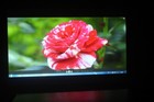 Bild 3 von 13