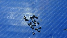 Asus Nexus 7 ME370TG 7" Genuine Tablet Screw Set Screws for Repair ScrewSet