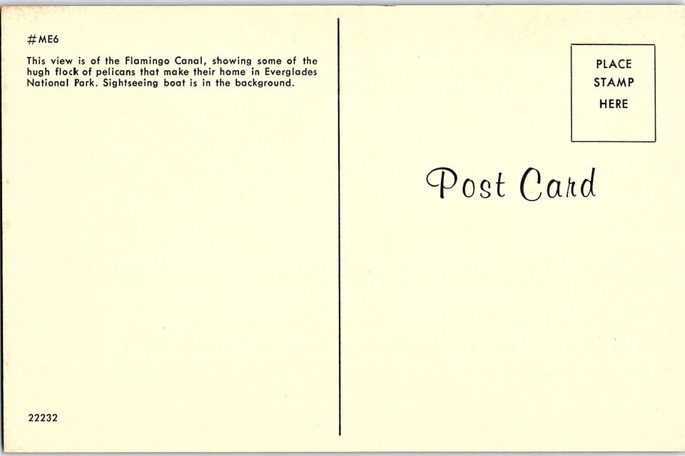 Chrome Everglades National Park Near Miami Florida FL 10/11 AH7497 eBay