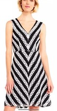 Adrianna Papell Striped Daisey Lace Dress Sz 14 Fit & Flare Black White Lined