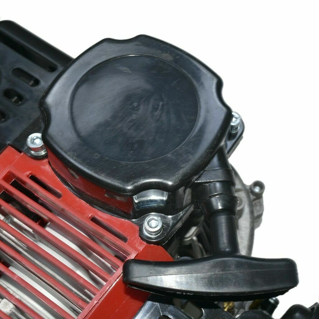 Picture 8 of 12