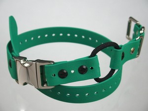 educator quick snap bungee collar