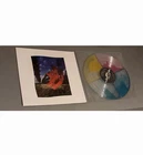 Pink Floyd Wish You Were Here 50th Anniversary Quad-Liquid Filled Vinyl No Cover