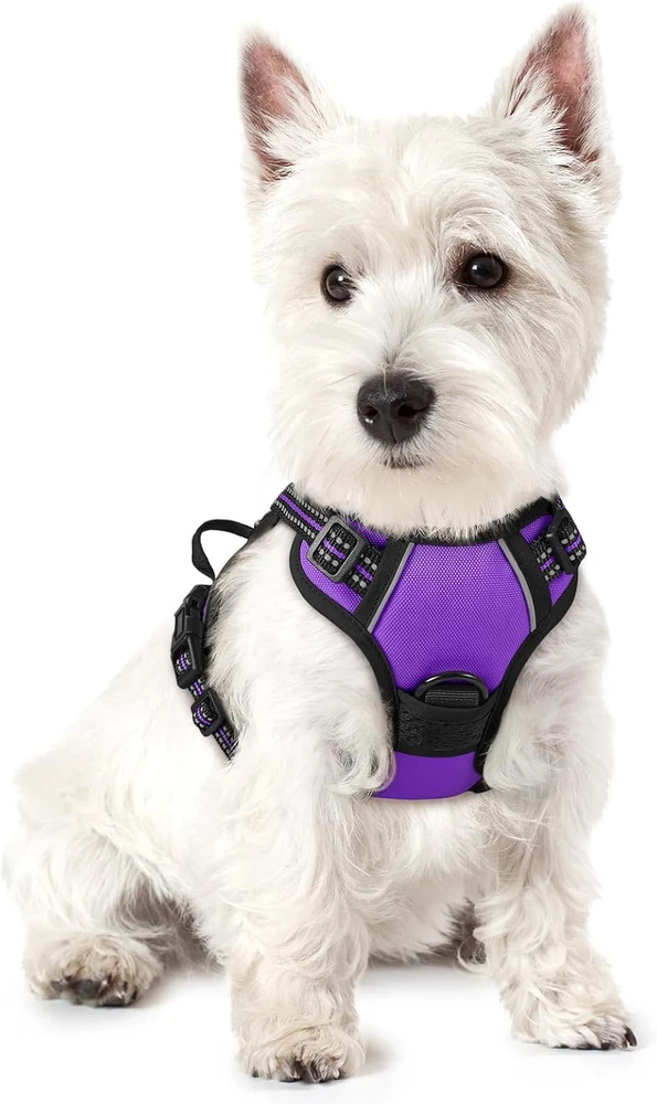 Dog Harness No Pull with 2 Leash Clips, Adjustable Soft Padded, Reflective Oxfor