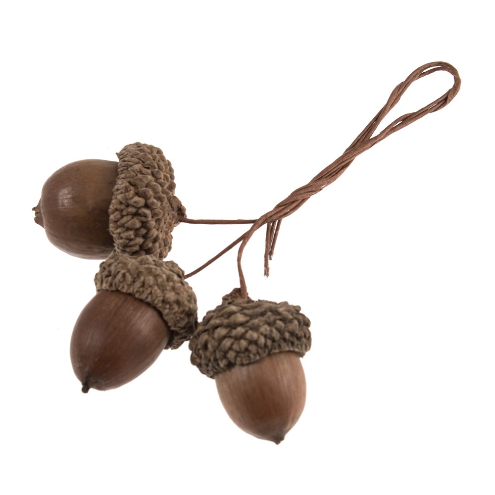 Natural Acorn Picks | Bunch of 9 on Wires | Wreath Making & Floristry
