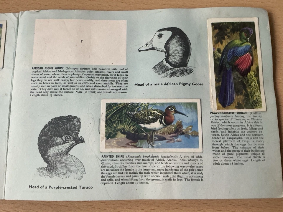 Brook Bond Tea Cards Tropical Birds Album - Missing Cards - Image 3 of 4