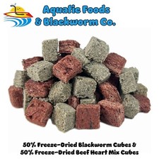 50/50 Mix of Freeze Dried Blackworm Cubes Beef Heart Mix Cubes. All Tropicals