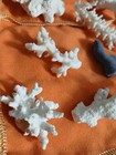 Sea Coral Mix- Aquarium Coral - BLUE & WHITE - Nine In Lot — photo 7