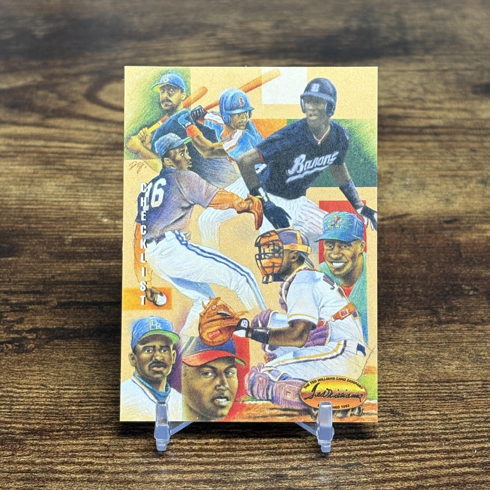 1994 Ted Williams #Dg9 Checklist Dan Gardiner Collection