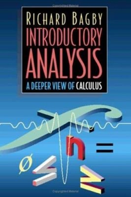 Introductory Analysis : A Deeper View of Calculus Hardcover Richa