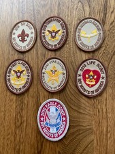 2010 BSA BOY SCOUT RANK BADGES COMPLETE SET OF SEVEN