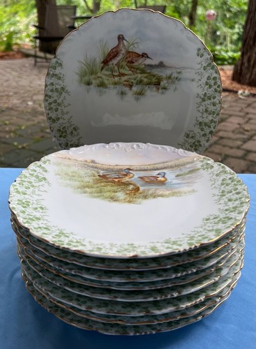 Set of 9, T&V Limoges France Game Bird Plates Multi-Bird Motifs Excellent Cond! - Afbeelding 16 van 16