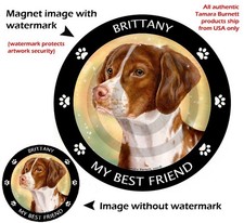 Brittany Spaniel My Best Friend Dog Car Magnet