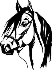 Horse Head 10 Tall Decal Show Horses Sticker Car Truck Trailer Window Arabian
