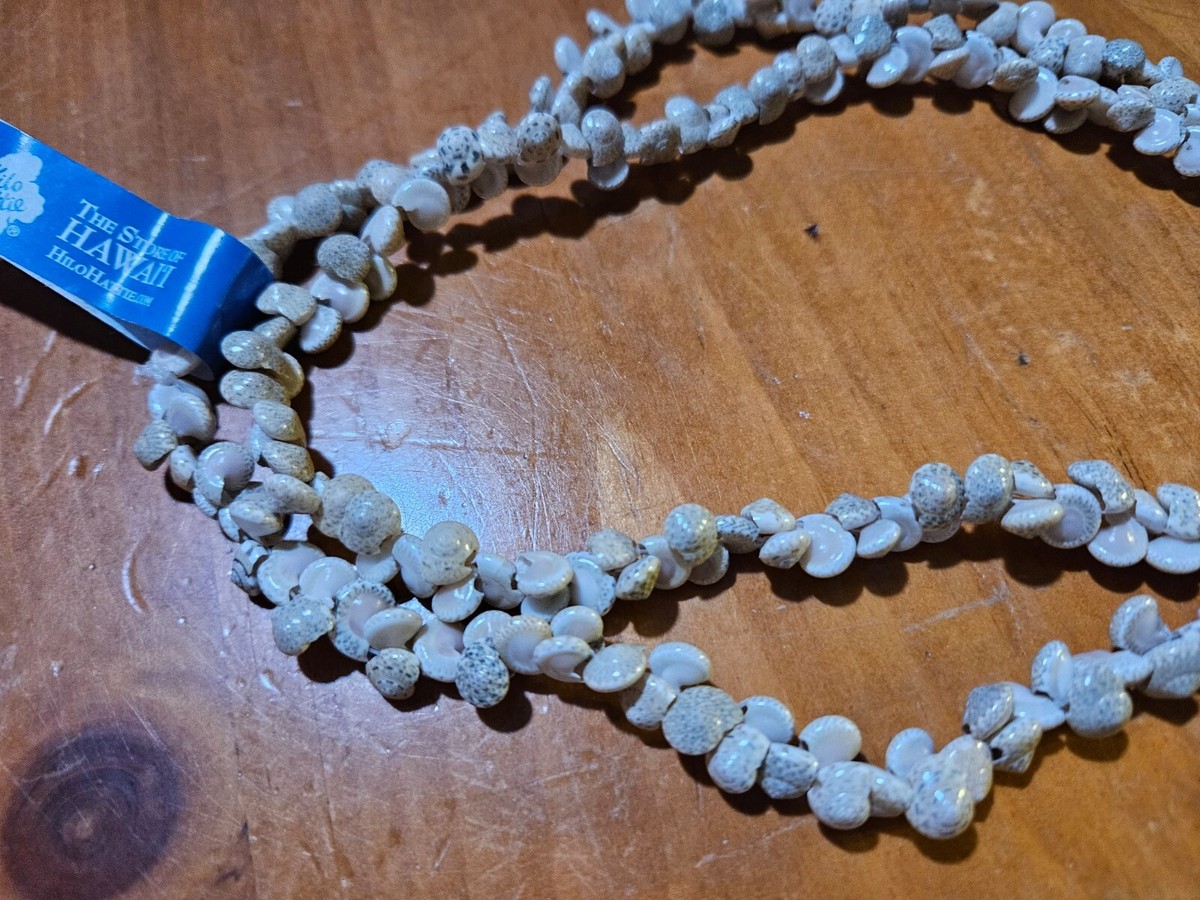 Hawaiian Small Shell Necklace from Hilo Hattie store in Hawaii HH2