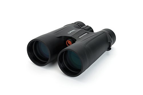 Celestron Prisma 71348 da tetto binoculare per esterni, 10 x 50, nero (x4h)