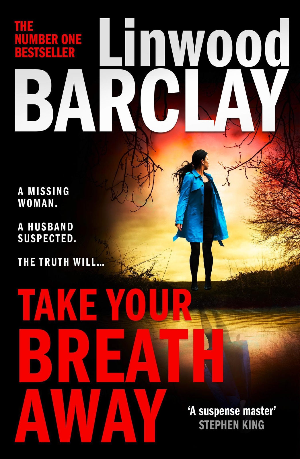Thumbnail - Take Your Breath Away Linwood Barclay