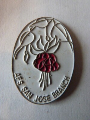 PIN'S TOURISME / AFS SAN JOSE BRANCH / RARE