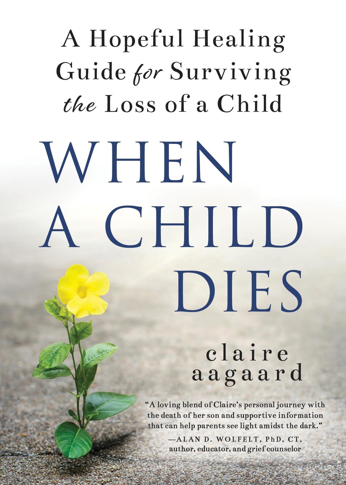 Thumbnail - Claire Aagaard | When A Child Dies | Taschenbuch | Englisch (2022) |