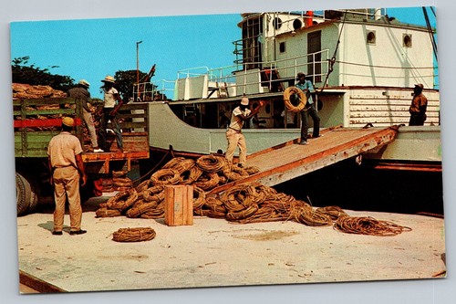 Thatch Rope Industry Cayman Islands Largest Export c1960 Vintage ...