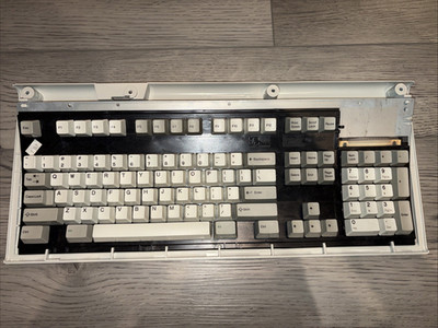 IBM Model M Key Caps - Complete set of 101 keys
