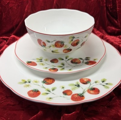 Mikasa Strawberry Blossom 3 Pc Set- 10.5” Dinner 8.5” Salad Plate