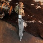 9.1" inch Handmade Damascus Hunting Knife Full Tang Wood Handle Leather Sheath — photo 4