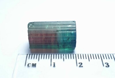 Tranche Polie De Tourmaline Melon D'Eau - 9,95 Carats - Afghanistan - Pierre Naturelle Multicolore
