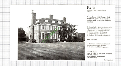 C7856) Maidstone Kent - 1981 Steckling